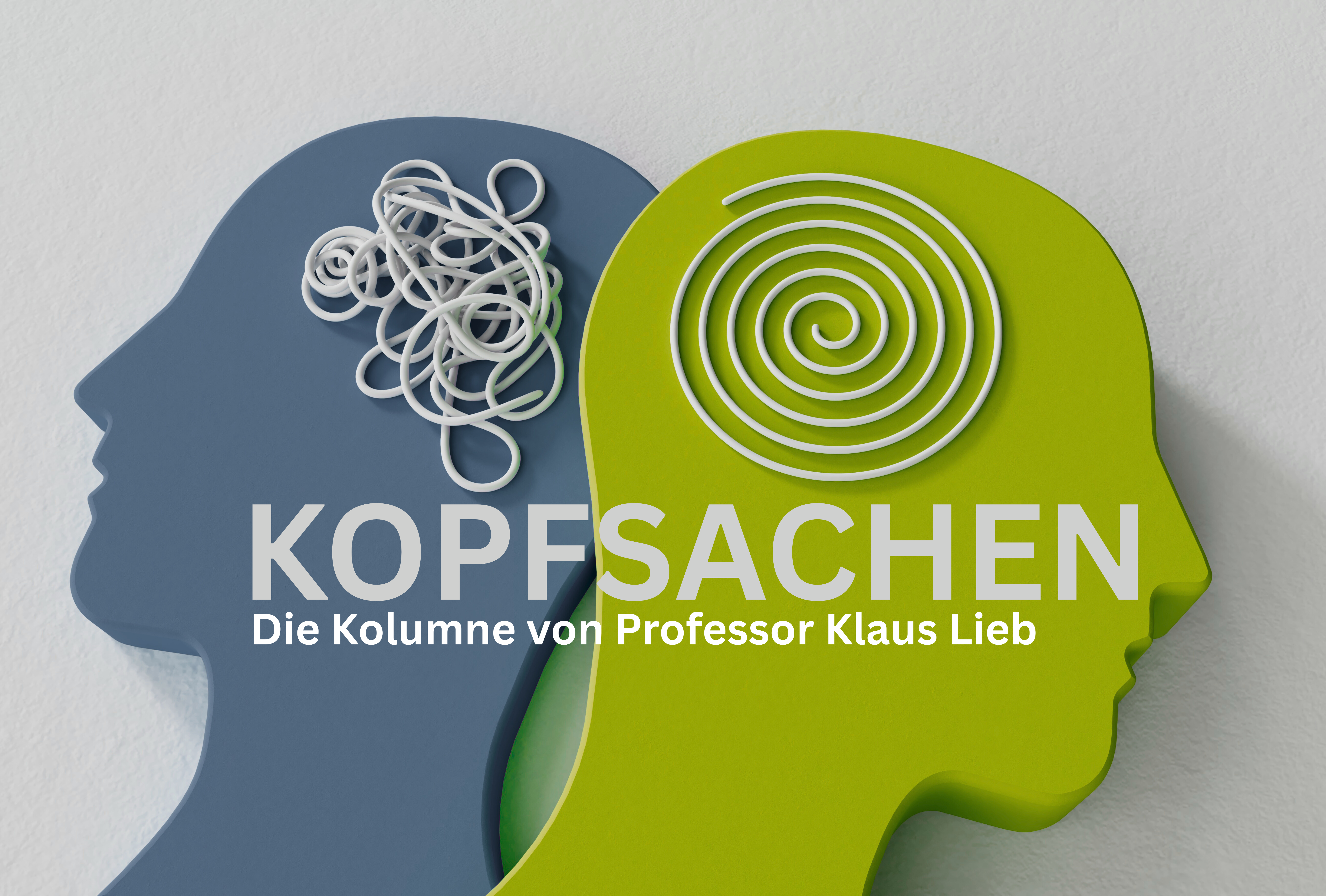 „Kopfsachen“ – Die F.A.Z.-Kolumne von Professor Klaus Lieb