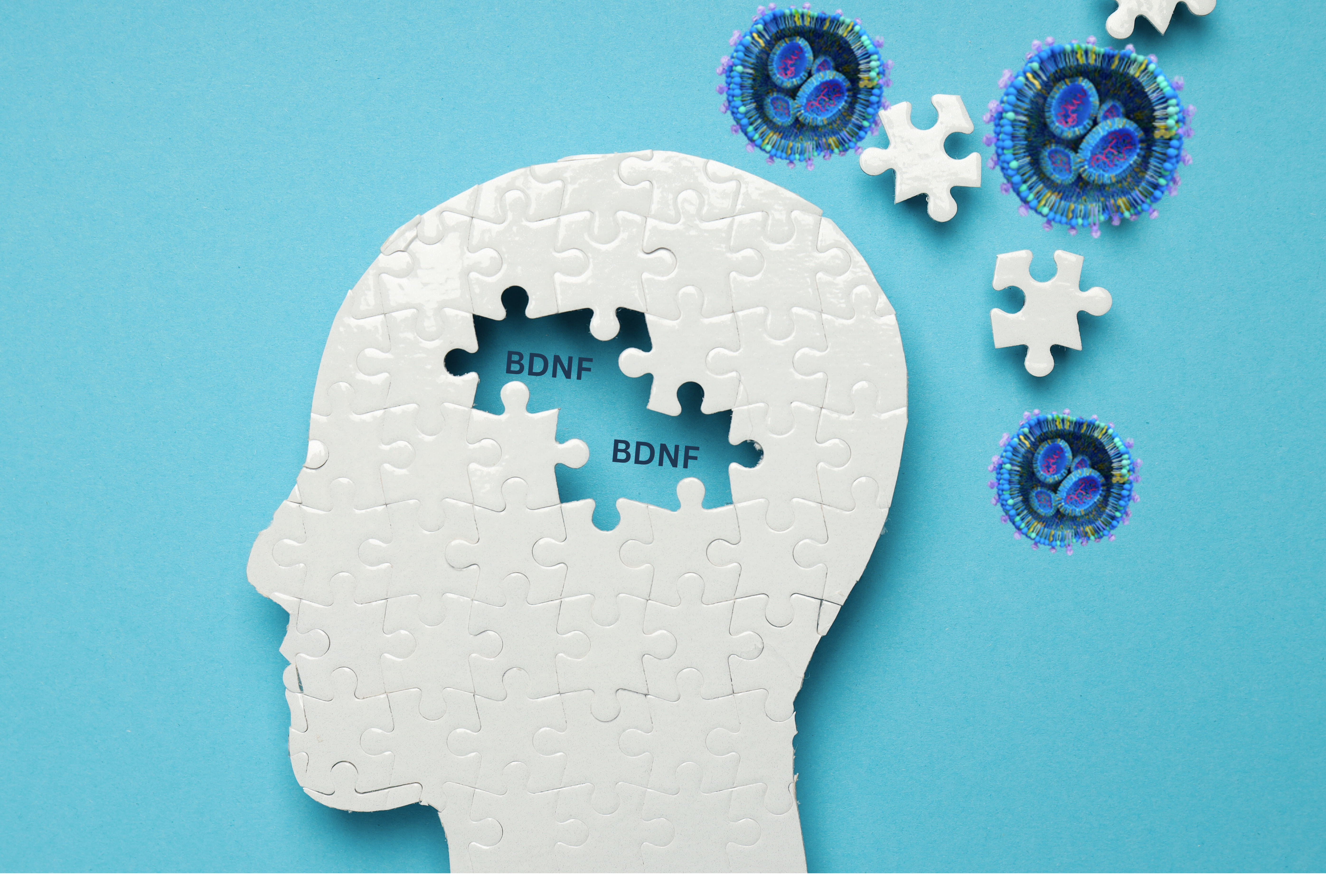 „Biotech Fellows international“: LIR erhält Förderung für internationales Biotechnologie-Projekt