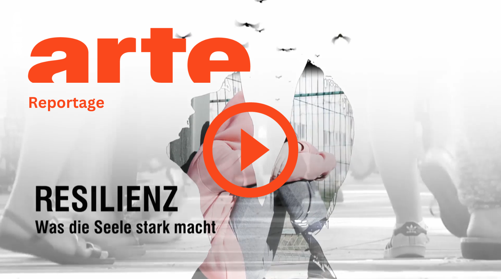 arte Reportage 