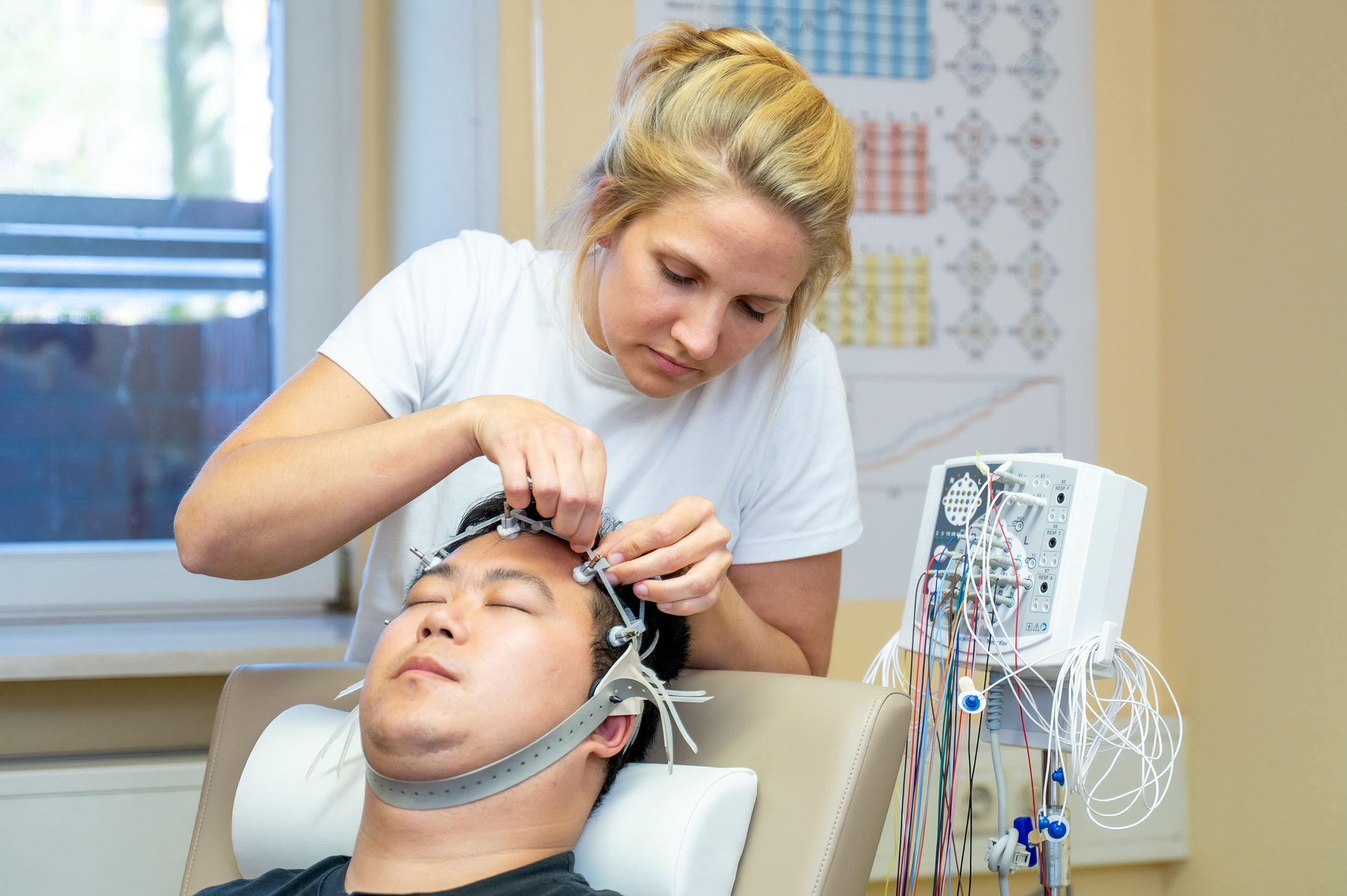 Gehirn passt sich aktiv an Stress an – besondere Rolle des Sehzentrums und des Vorderhirns aufgezeigt